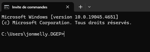 Alt text